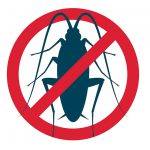 Saiba mais sobre o que significa sonhar com Barata sonho com barata