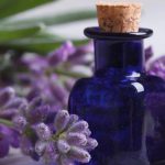 Conheça os benefícios do Remédio Floral Calmante floral para acalmar