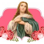 Conheça mais sobre a Nossa Senhora da Imaculada Conceição Nossa Senhora da Imaculada Conceição