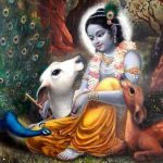 Saiba mais sobre o Maha Mantra Hare Krishna – A Felicidade Completa hare krishna