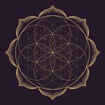 Flor da Vida – A Luz em formas geométricas a flor da vida