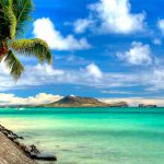 Descubra o que significa sonhar com o mar sonho com mar