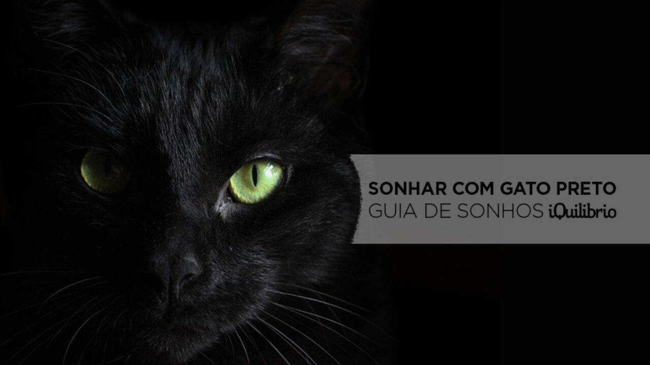 Confira os significados de sonhos com animais