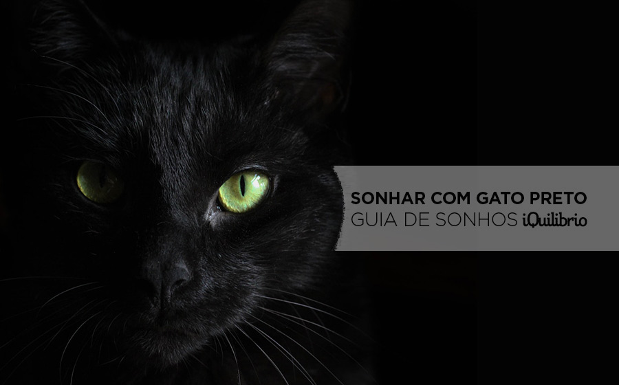 sonho com gato preto