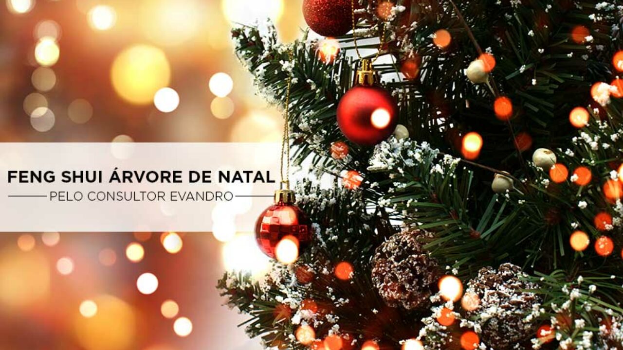 Feng Shui: atraia boas energias com a árvore de Natal