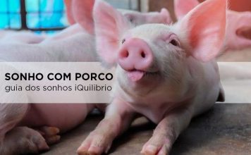 Saiba o que significa sonhar com porco sonho com porco