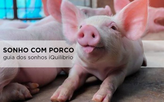 sonho com porco