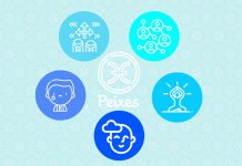 Características do signo de Peixes – todo pisciano é… peixes características