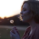 A lei da gratidão – O verdadeiro significado de gratidão – Pelo consultor Evandro significado da gratidão