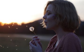 A lei da gratidão – O verdadeiro significado de gratidão – Pelo consultor Evandro significado da gratidão