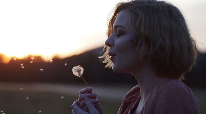 A lei da gratidão – O verdadeiro significado de gratidão – Pelo consultor Evandro significado da gratidão