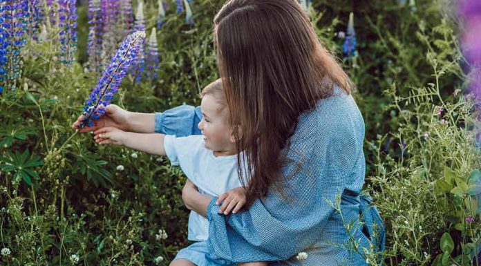 Dicas, banhos e oração para proteção do lar e família – pela consultora Anna Raposo proteção para família