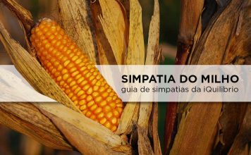 Veja dicas especiais para a simpatia do milho – Atraia amor e prosperidade! simpatia com milho