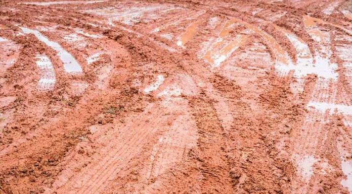 Sonhar com lama: tem a ver com os desafios da vida? sonho com lama