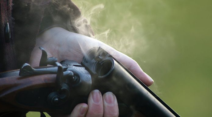 Sonhar com tiro – Guia dos sonhos iQuilibrio e a interpretação de sonhar com tiros sonho com tiro