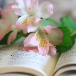 Salmos para ocasiões especiais – Pela consultora Bárbara salmo para momentos especiais