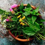 Benefícios e vantagens de realizar simpatias simpatias fortes e seus benefícios