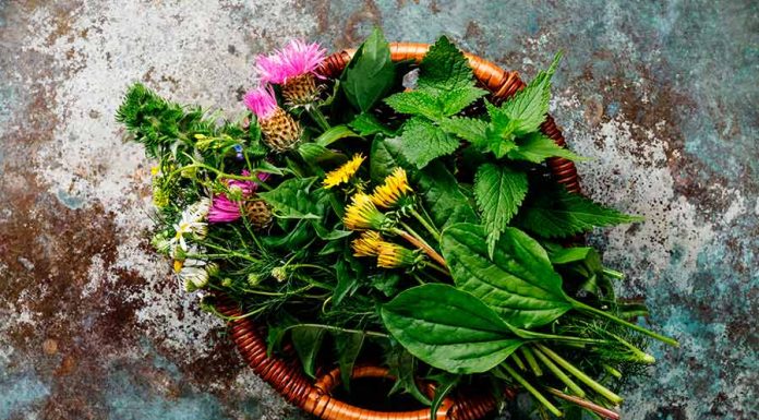 Benefícios e vantagens de realizar simpatias simpatias fortes e seus benefícios