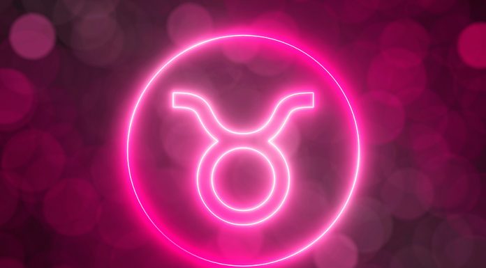 5 dicas de como conquistar uma mulher de Touro conquistar taurina