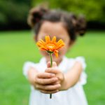 Ser grato: o verdadeiro poder de cada pessoa através da GRATIDÃO! – pela consultora Aurora poder do agradecimento