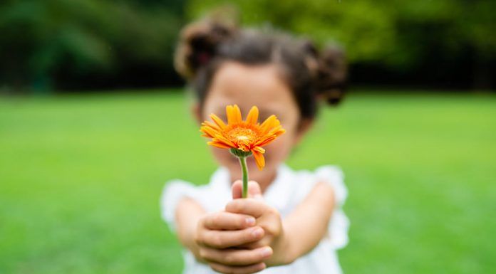 Ser grato: o verdadeiro poder de cada pessoa através da GRATIDÃO! – pela consultora Aurora poder do agradecimento