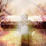 Momento de reflexão diante ao Salmo 142 – Análise, estudo e explicação 142 salmo