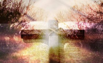 Momento de reflexão diante ao Salmo 142 – Análise, estudo e explicação 142 salmo