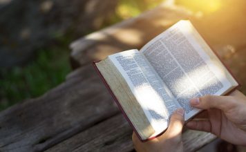 Momento de Reflexão: Salmo 36 – Estudo e explicação 36 salmo estudo