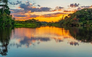 Sonhar com rio: saiba o simbolismo do sonho com rio sonho com rio