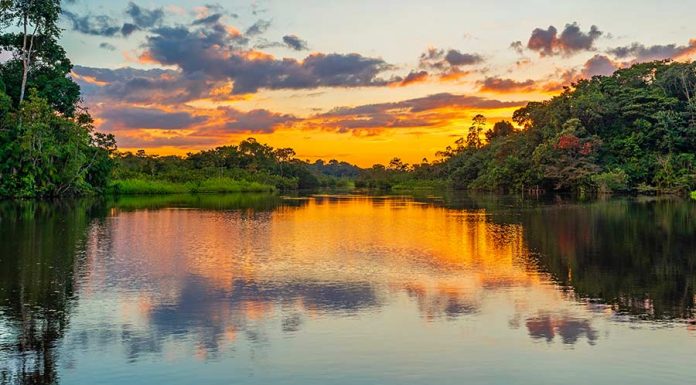 Sonhar com rio: saiba o simbolismo do sonho com rio sonho com rio