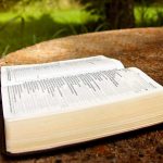 Momento de reflexão do Salmo 4 – Análise, estudo e explicação 4 salmo