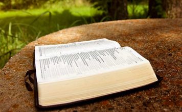 Momento de reflexão do Salmo 4 – Análise, estudo e explicação 4 salmo