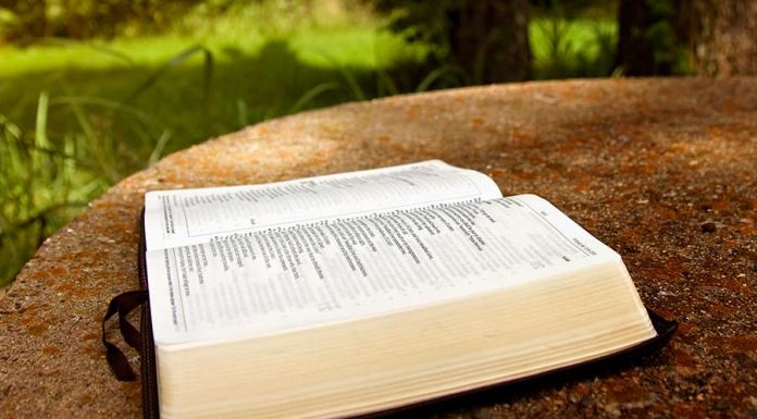 Momento de reflexão do Salmo 4 – Análise, estudo e explicação 4 salmo