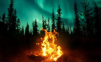 Solstício de inverno – pela consultora Heloísa Helena entrada do inverno