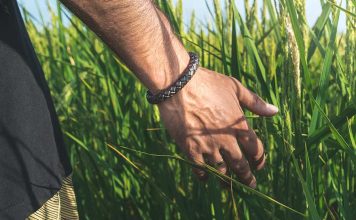 Descubra se premonição existe – Pela Consultora Layla existe premonição