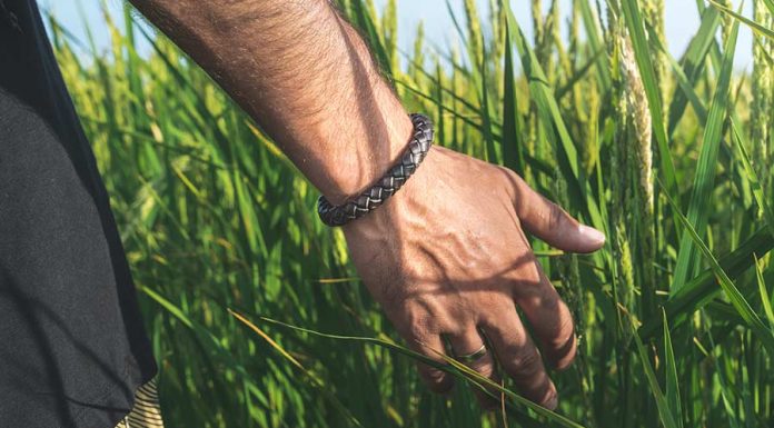 Descubra se premonição existe – Pela Consultora Layla existe premonição