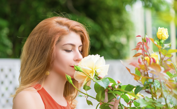 É possível fazer uma consulta sobre aromaterapia online? – Pela consultora Marta