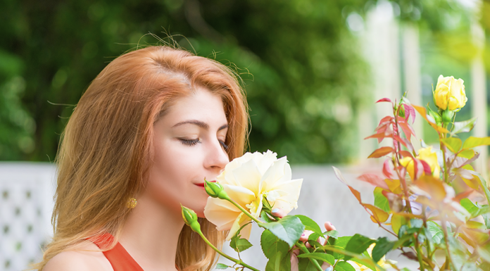 É possível fazer uma consulta sobre aromaterapia online? – Pela consultora Marta