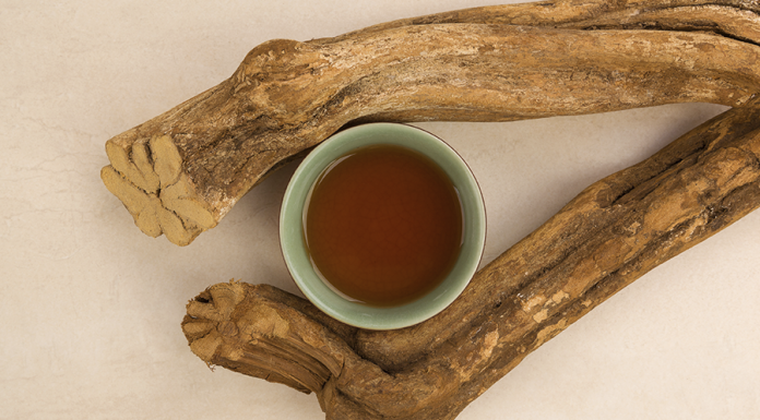 Ayahuasca – Saiba que é e para que serve a ayahuasca – Pelo consultor Eloi