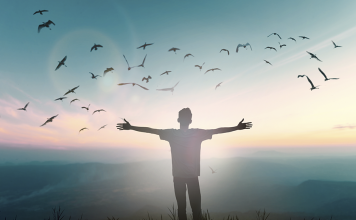 Reencarnação – Qual é o Seu Grupo de Resgate Reencarnatório? – Pelo Consultor Evandro