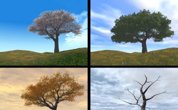 Origem das estações do ano – A lenda das 4 estações – Primavera, Verão, Outono e Inverno 4 estações do ano