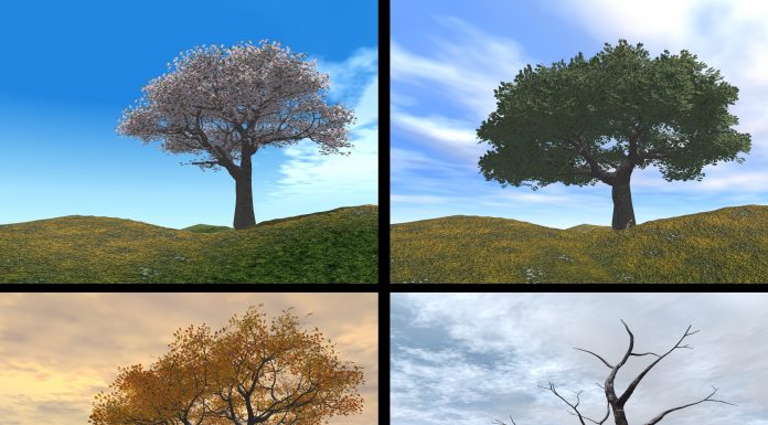 Origem das estações do ano – A lenda das 4 estações – Primavera, Verão, Outono e Inverno 4 estações do ano