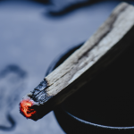 Palo Santo – o que é palo santo e como posso usá-lo? o que é palo santo
