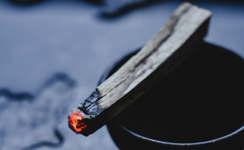 Palo Santo – o que é palo santo e como posso usá-lo? o que é palo santo