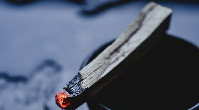Palo Santo – o que é palo santo e como posso usá-lo? o que é palo santo
