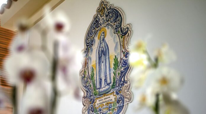 Poderosa oração para Nossa Senhora de Fátima nossa senhora de fátima