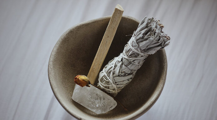 Palo Santo: Benefícios que vão além do que se imagina