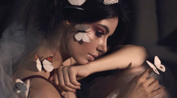 Como descobrir meu animal de poder? Veja 35 totens xamânicos Como descobrir meu animal de poder