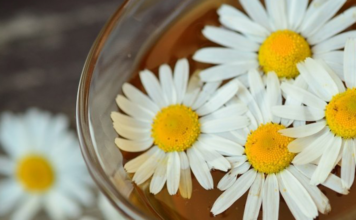 Saiba como fazer o banho de camomila no bebe! banho de camomila no bebê