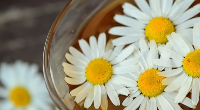 Saiba como fazer o banho de camomila no bebe! banho de camomila no bebê